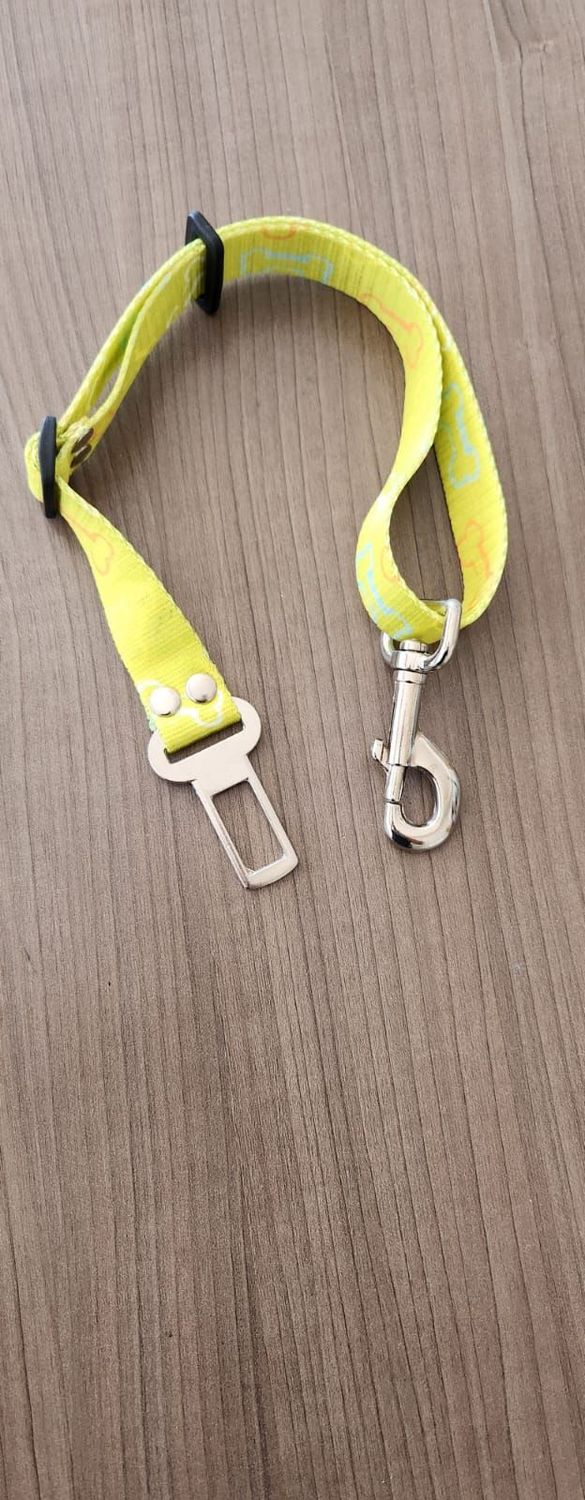 Cinturon de seguridad