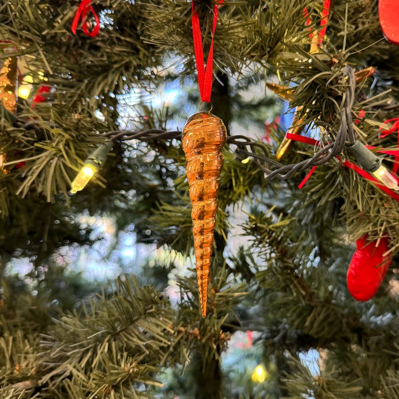 Auger Shell (Gold)