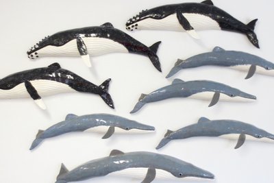 Mammals