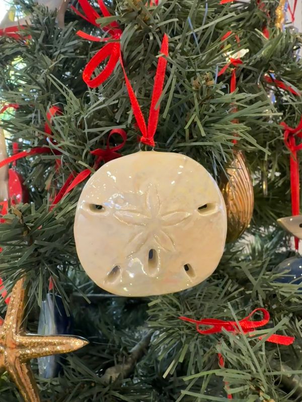 Sand Dollar (Mother of Pearl)