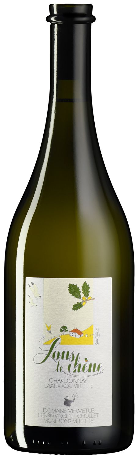 Sous le chêne - 2023