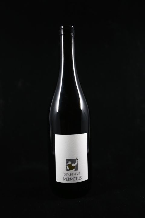 SINENSIS - vin orange - 2025