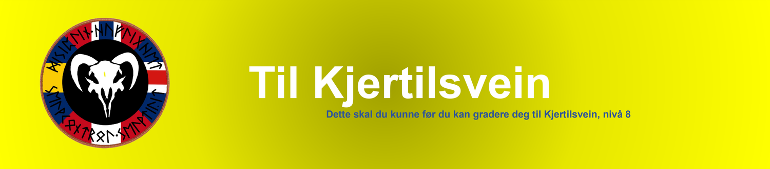 1A Dyneja, undervisning til gult nivå med trenings-sverd.