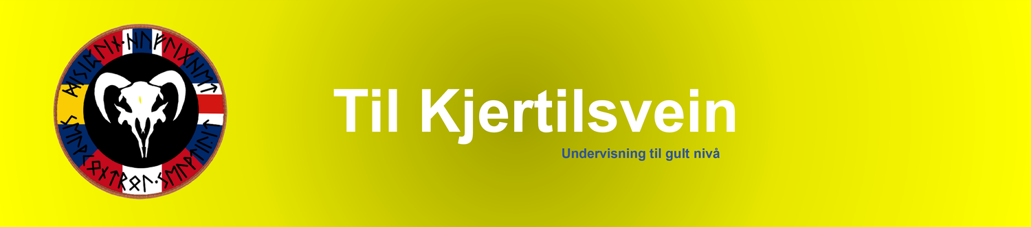 1 Dyneja, undervisning til gult nivå.