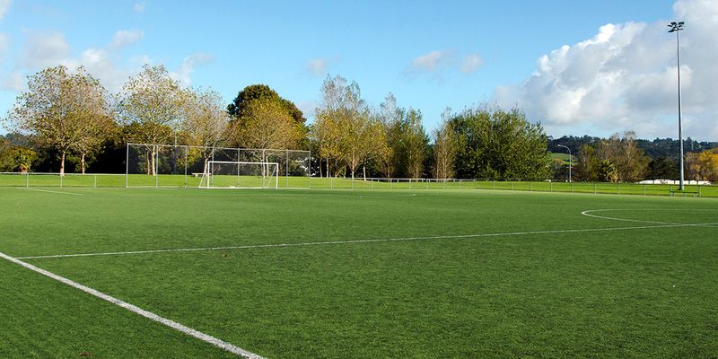 FIELD