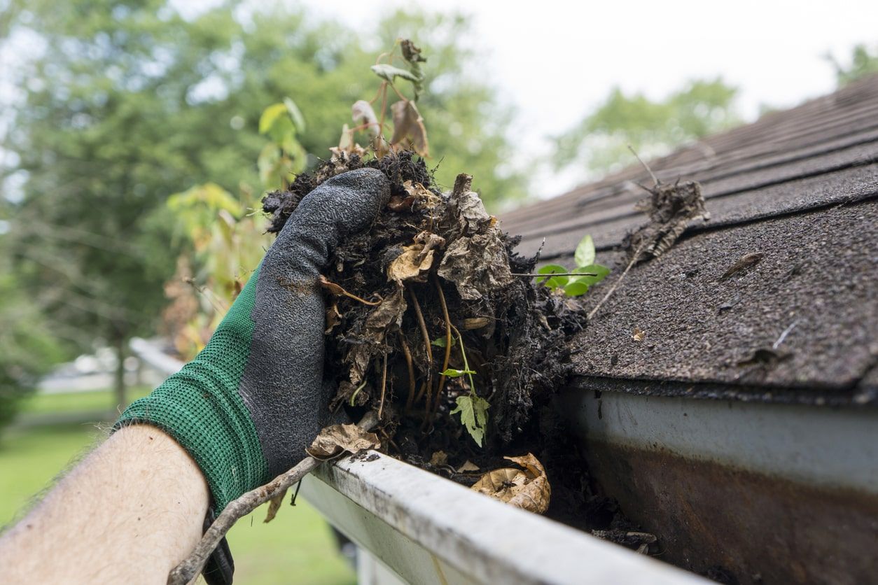 Gutter Cleaning - Submit Inquiry