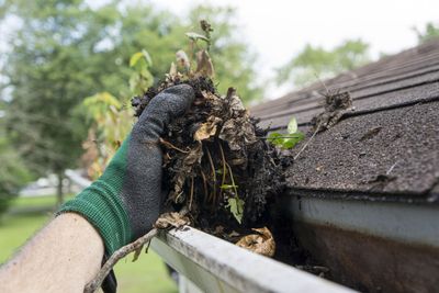 Gutter Cleaning - Submit Inquiry