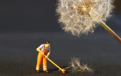 Do you Know what to Look for in a Commercial Cleaner?