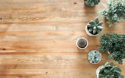 Are you Cleaning your Vinyl Floors with a Steam Mop?
