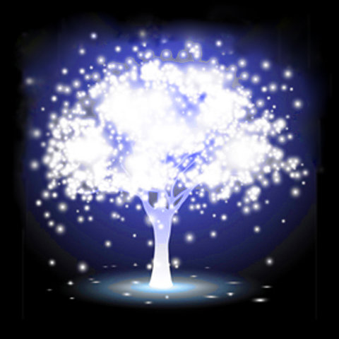 Holistic Coaching