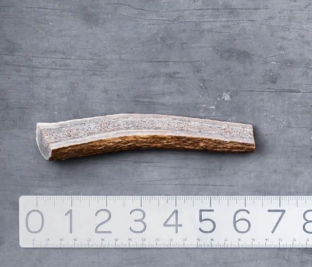 All Natural Split Elk Antler, Size: Medium Split