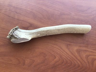 Elk antlers