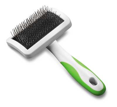 Grooming