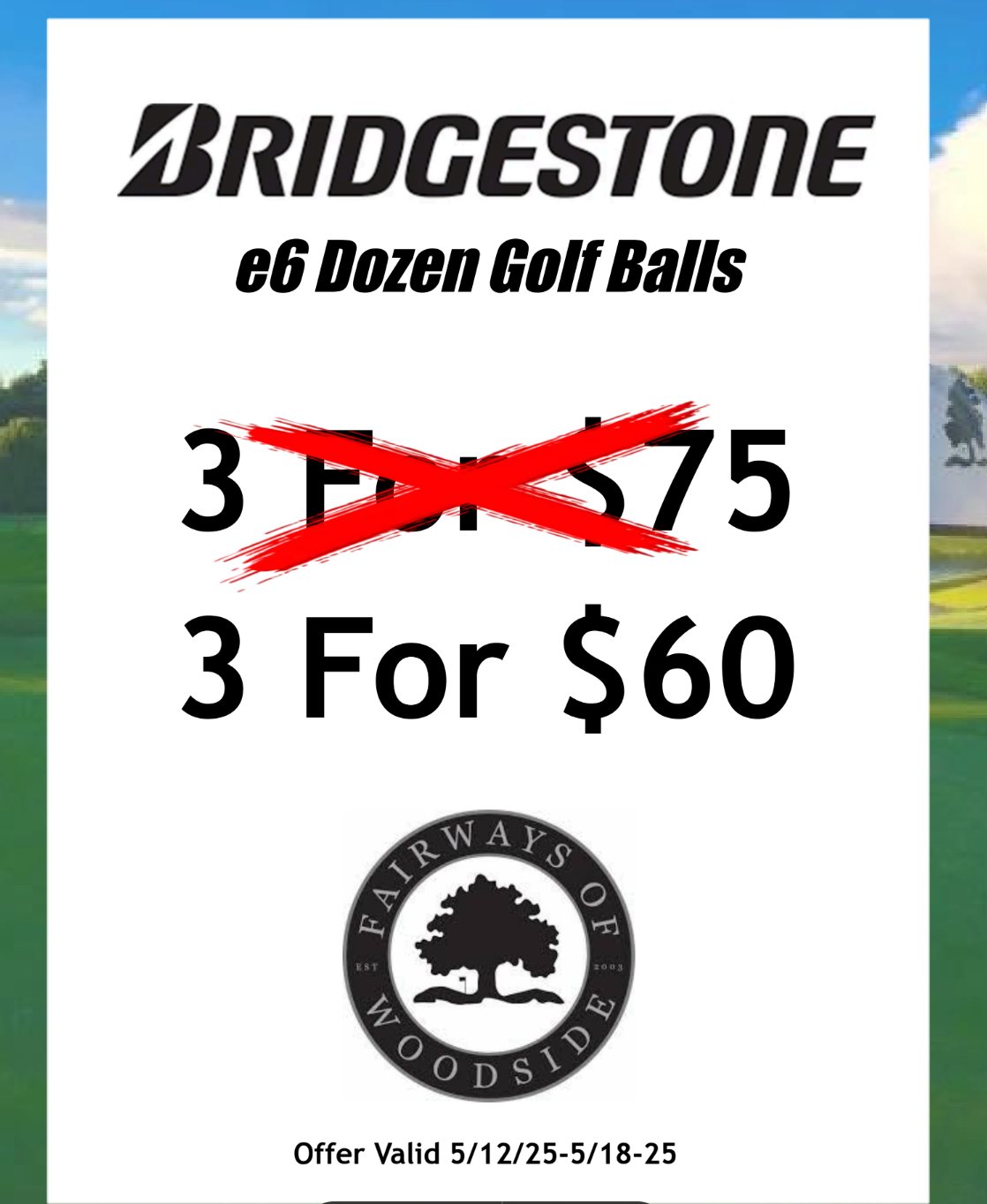3 Dozen Bridgestone E6 Golf Balls