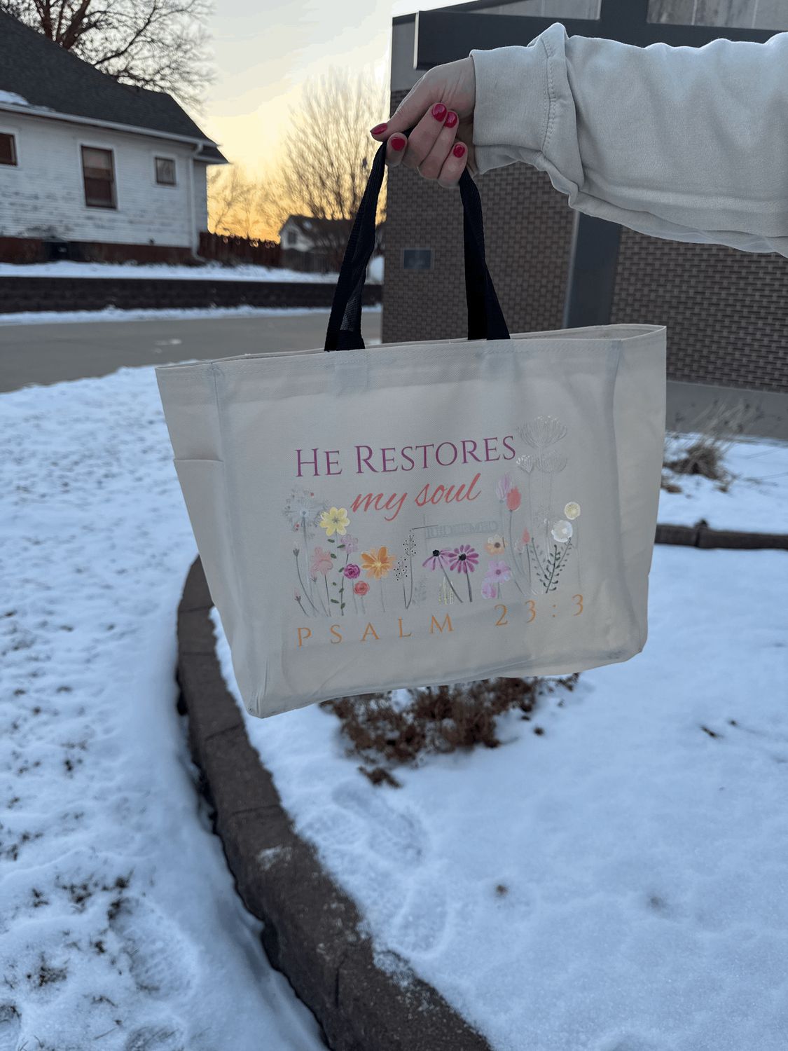 Bible Bag - He Restores My Soul