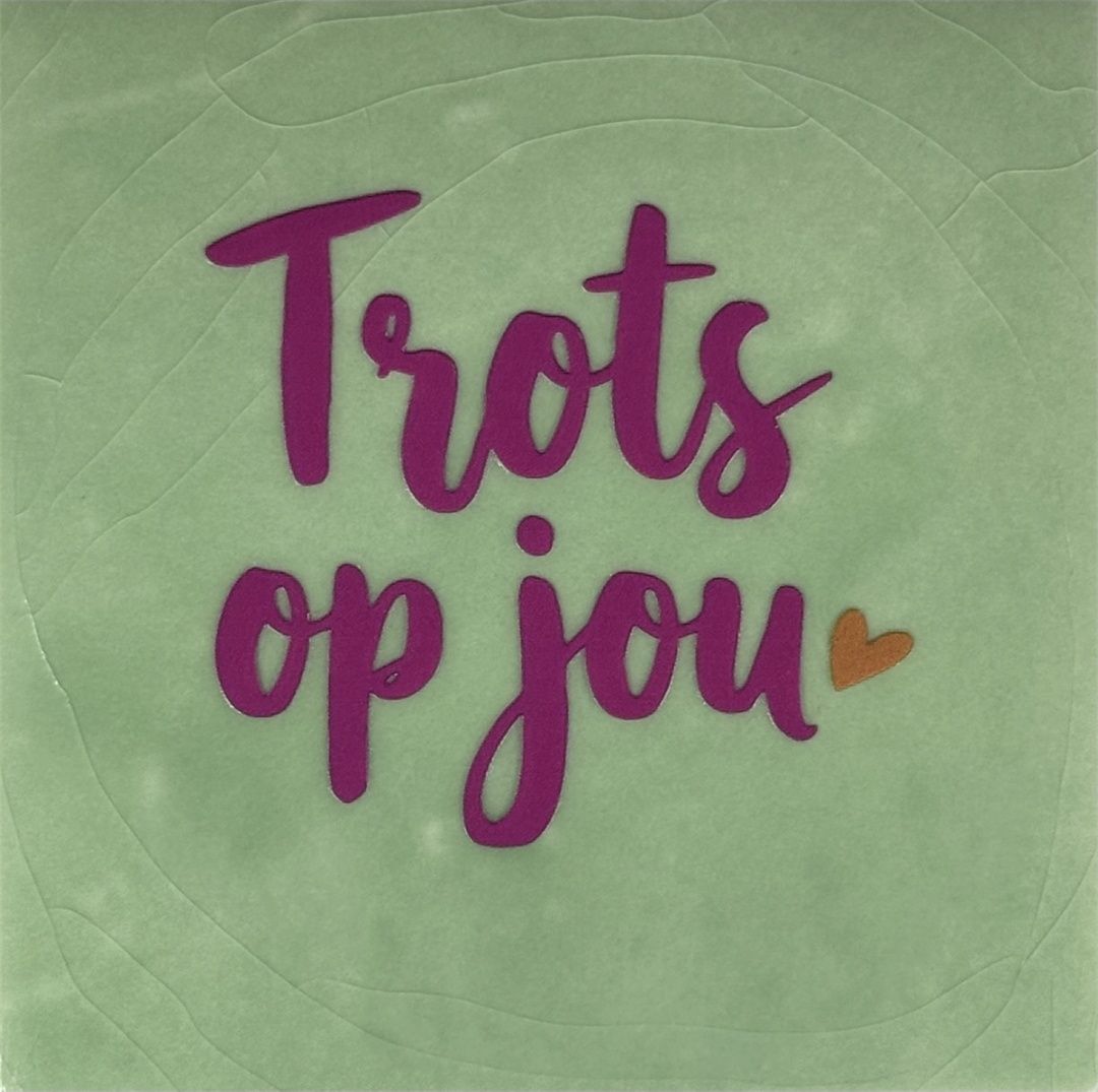 Tegel - 'trots op jou' mint/knalroze