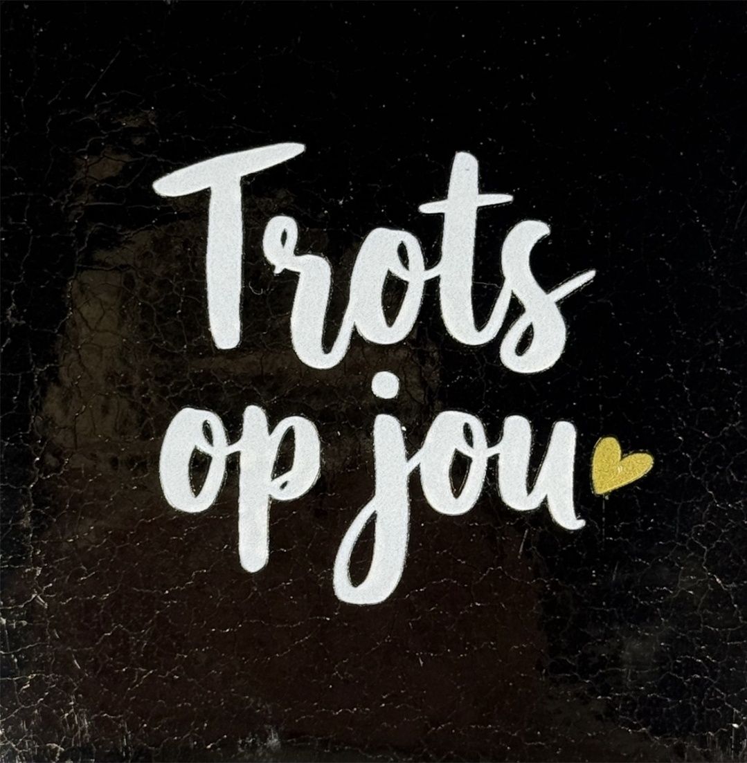 Tegel - 'trots op jou' goude/creme(goud)