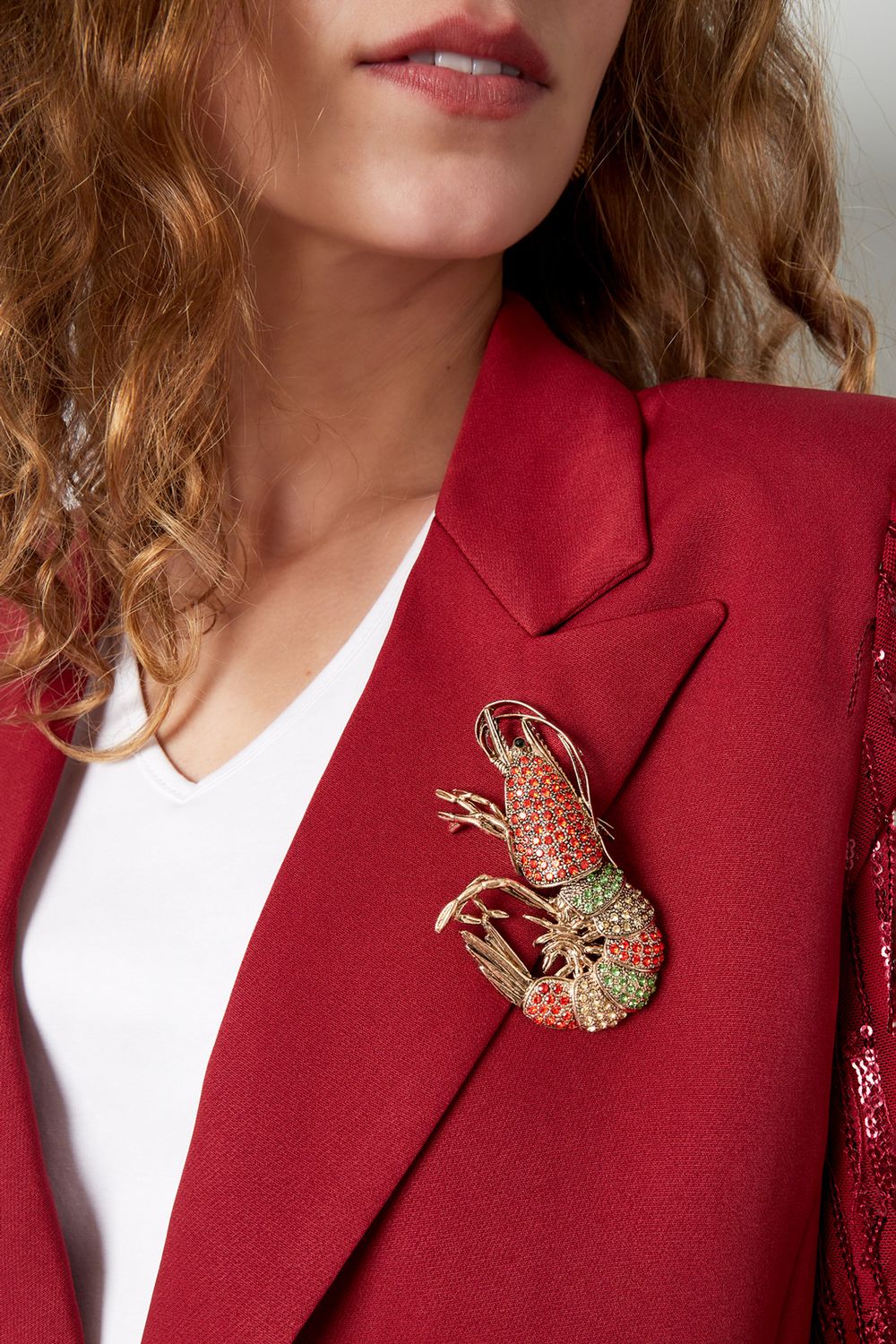 Broche Shrimp - multi