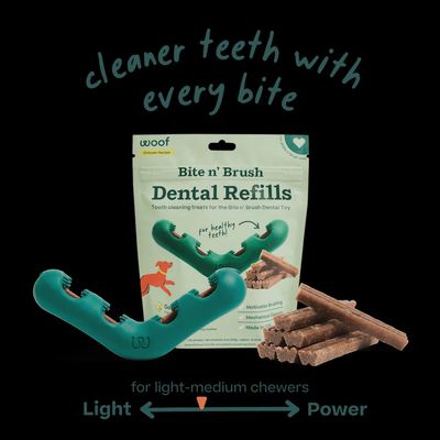 BITE N' BRUSH Dental treat refill with peppermint and parsley placed next to Bite n’ Brush chew toy.