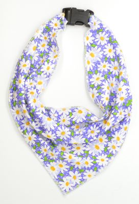 PURPLE DAISEY-S