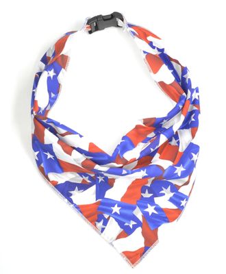 TEXAS FLAG-XS