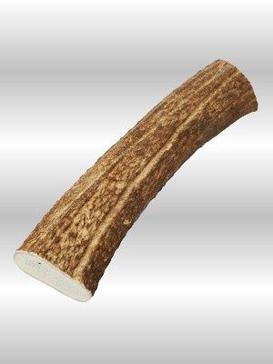 ELK ANTLER JUMBO Jumbo Elk Antler dog chew, 100% natural, safe long-lasting chew for very large dogs over 90 pounds