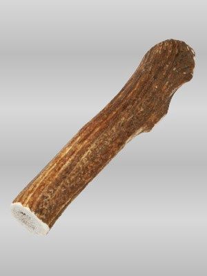 Extra-Large Elk Antler dog chew, 7–10 inches, 100% natural, long-lasting, safe chew for extra-large dogs.