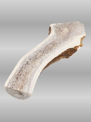 ELK ANTLER XTRA LARGE SPLIT Extra-Large Split Elk Antler dog chew, 7–10 inches, 100% natural, long-lasting, safe chew for extra-large dogs.