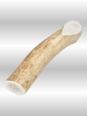 ELK ANTLER LARGE Large Elk Antler dog chew, 7–9 inches, 100% natural, durable and safe for medium to large dogs.