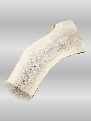 Large Split Elk Antler dog chew with exposed marrow, 100% natural and safe for medium to large dogs.