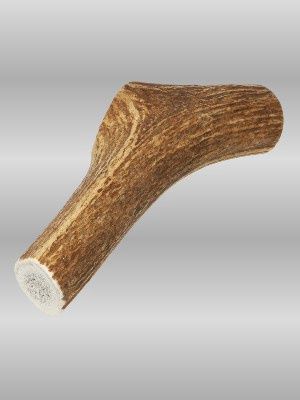 Medium Elk Antler dog chew, 5–8 inches, 100% natural and durable, safe chew for medium dogs.