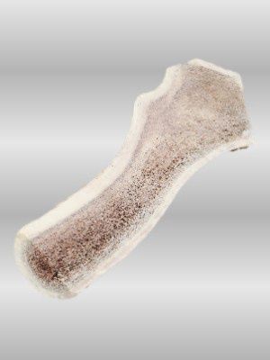 Cross-section of split elk antler showing marrow, durable and nutrient-rich chew for dogs.