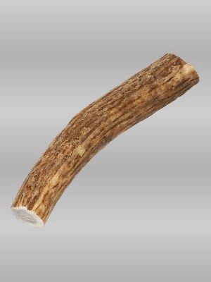 Small Elk Antler dog chew, 4–6 inches, natural and safe chew sized for small dogs.