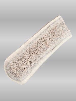 Small Split Elk Antler dog chew with exposed marrow, natural safe chew sized for small dogs.