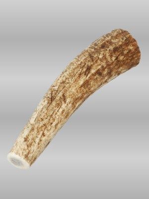 Petite Elk Antler dog chew, 4–5 inches, natural safe chew sized for toy dogs.
