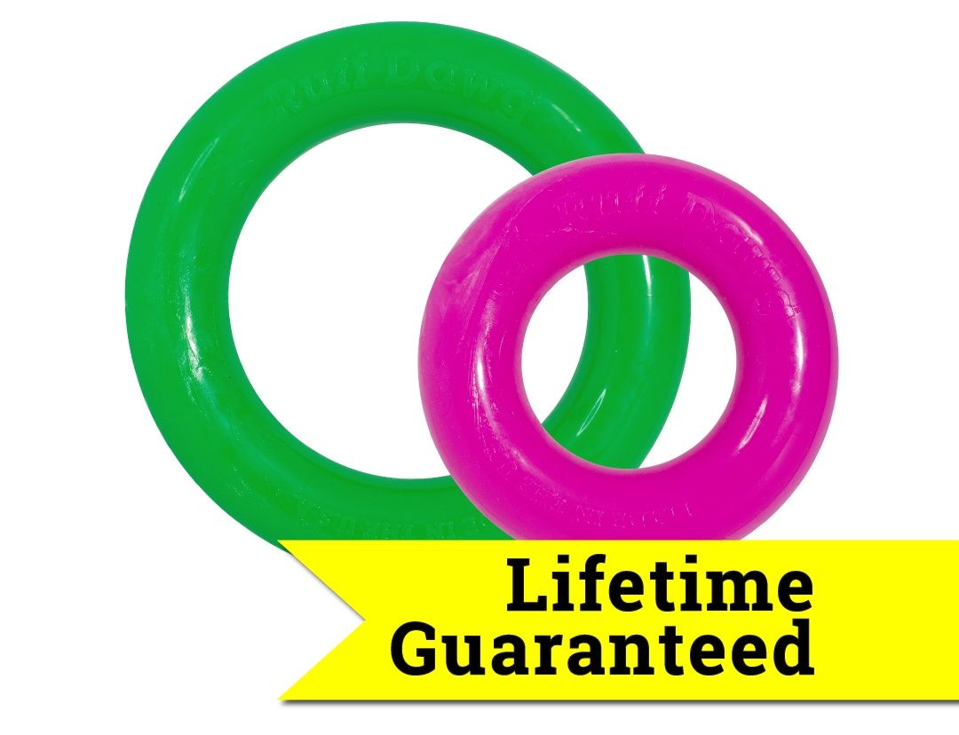RuffDawg DAWG-RING durable rubber ring dog toy in neon colors