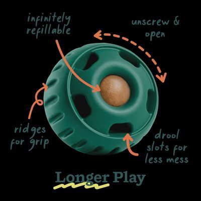 Enrichment Toys