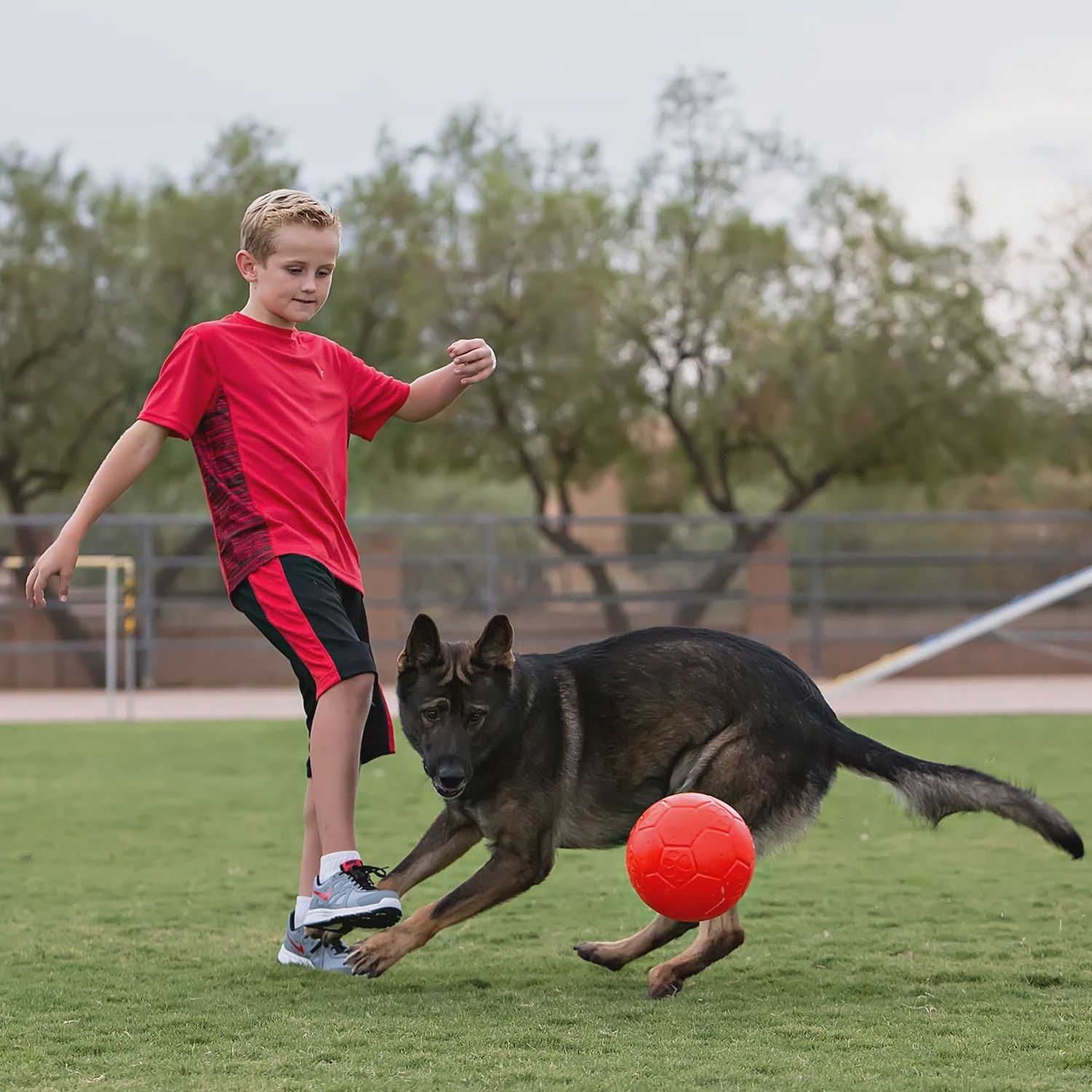 Soccer game with orange Jolly Pets Soccer Ball