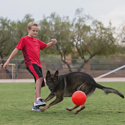 Soccer game with orange Jolly Pets Soccer Ball