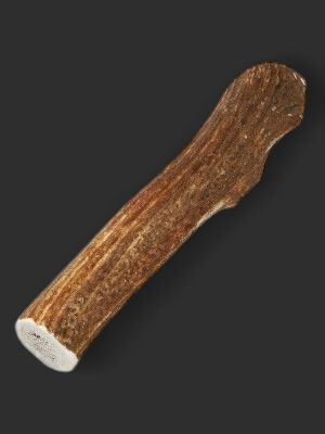 ELK ANTLER EXTRA LARGE, Cut: Whole