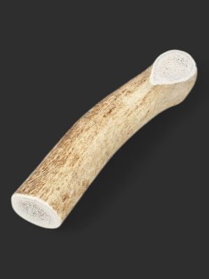 ELK ANTLER LARGE, Cut: Whole