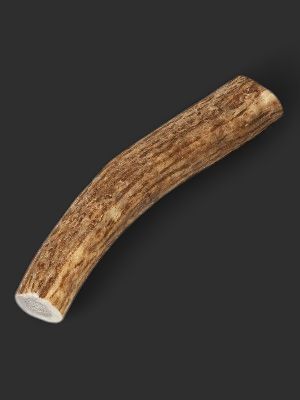 Small naturally shed USA elk antler. No chemicals, no bleach, no dyes. Whole for power chewers