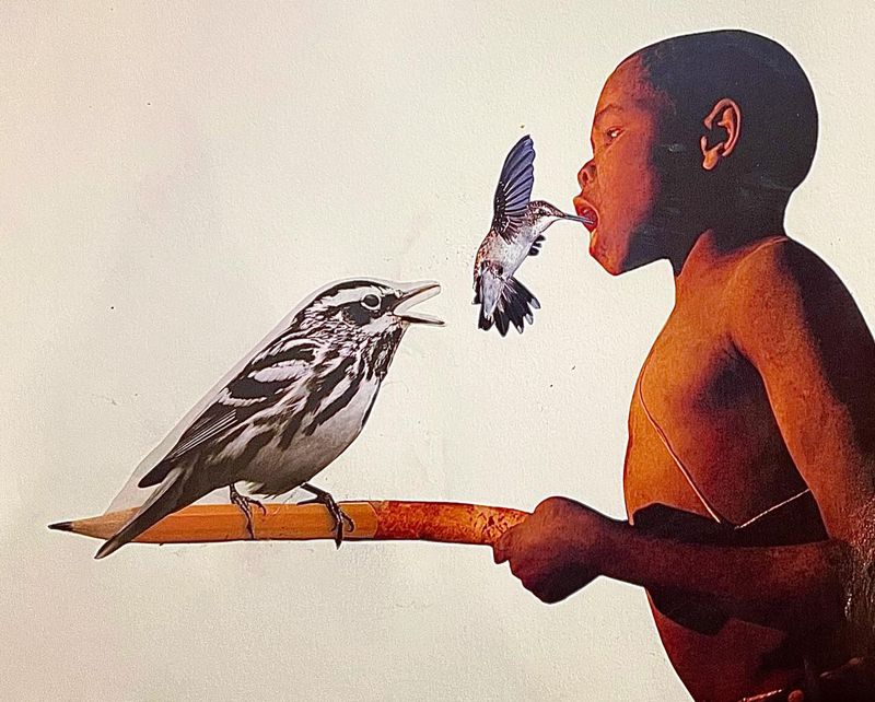 The Early Bird Gets the Bird