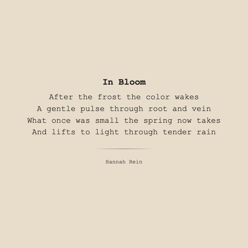 In Bloom