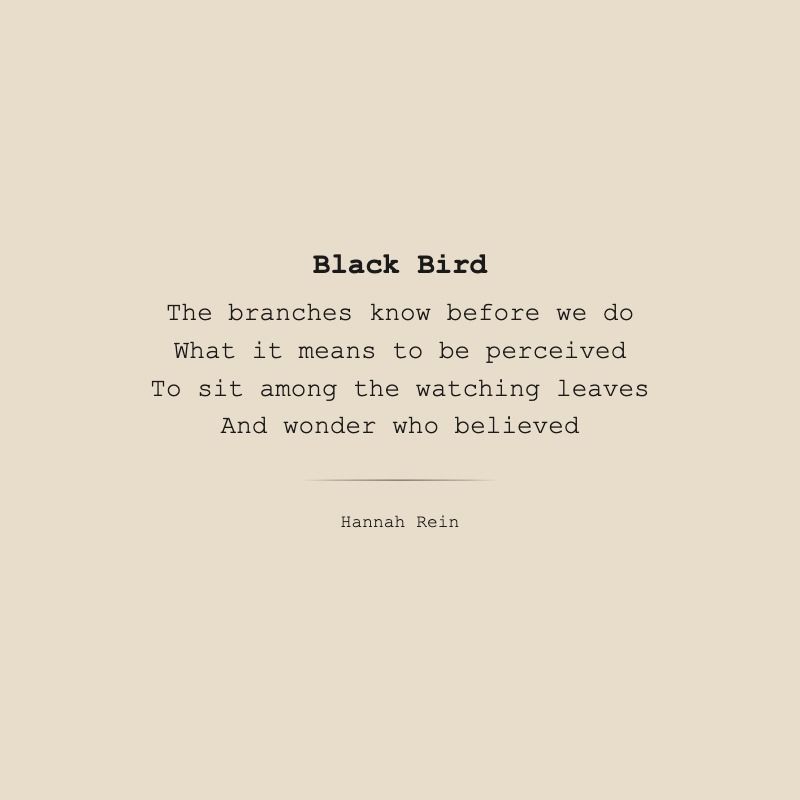 Black Bird