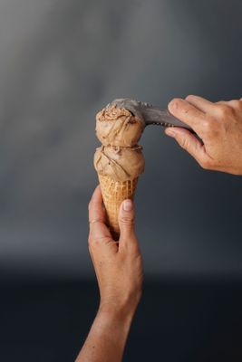 Double Fudge Brownie Ice Cream