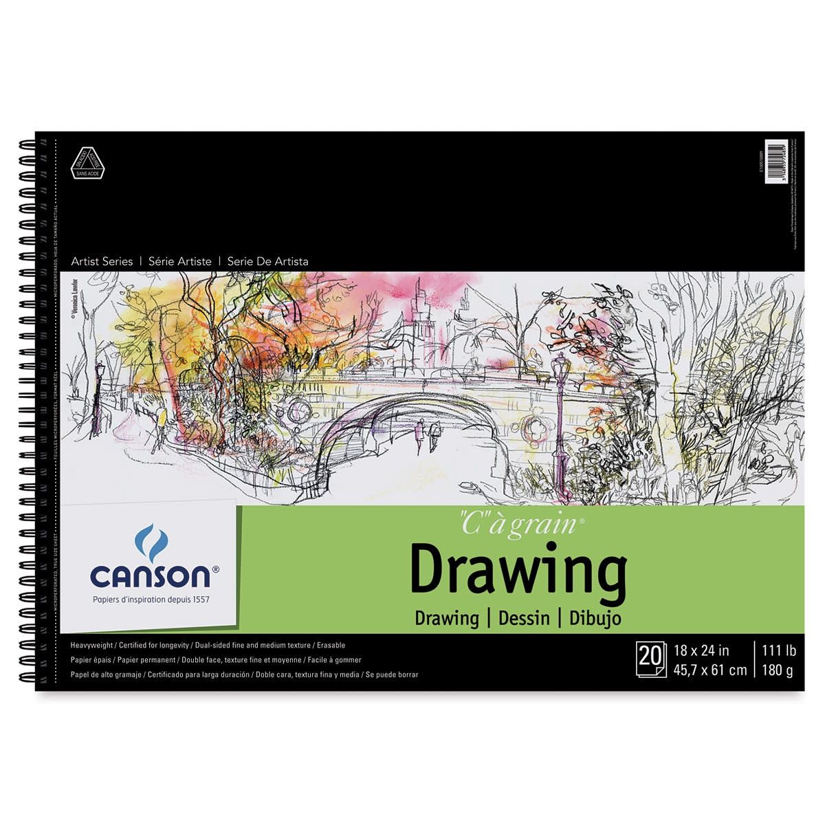 ARTIST SERIES C A GRAIN DRAWING 20 SHTS WB MICRO PERF 18X24