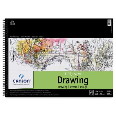ARTIST SERIES C A GRAIN DRAWING 20 SHTS WB MICRO PERF 18X24
