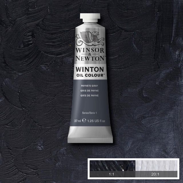 WINTON OIL COLOUR 37ML PAYNES GRAY
