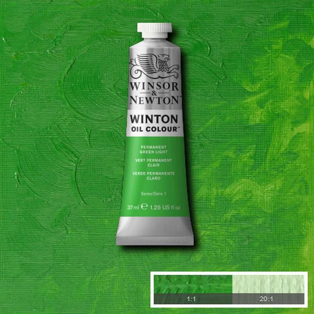 WINTON OIL COLOUR 37ML PERMANENT GREEN LIGHT